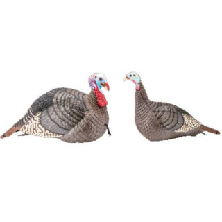 Hunter's Specialties Strut-Lite Jake & Hen Turkey Decoy Combo