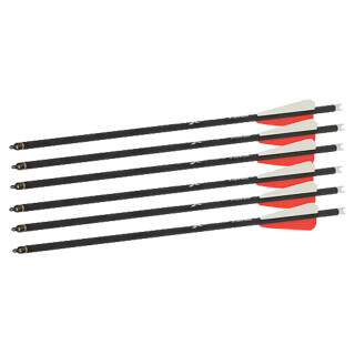 Bear Archery Bear X TrueX Max Crossbow Bolts 6 Pack