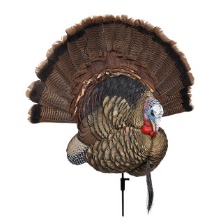 Avian X Trophy Tom Tail Fan Display/Decoy