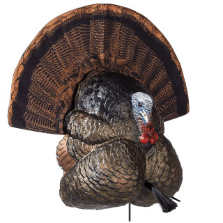 Flextone Thunder Creeper Decoy 3 D Rubber Life Size Realistic Male Turkey