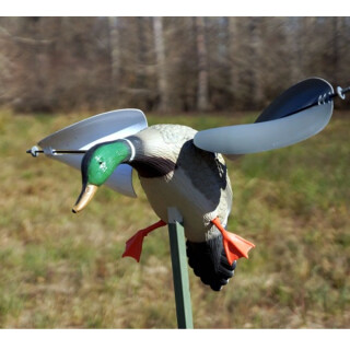 MOJO Outdoors Duck Decoy Wind-Powered Spinning Wing Mallard