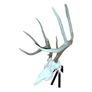 Mountain Mike's Positioner Deer Skull Wall Mount