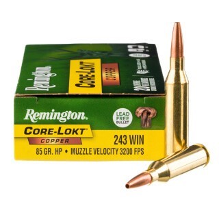 Remington Core-Lokt Copper .243 Winchester Ammunition 20 Rounds SCHP 85 Grains