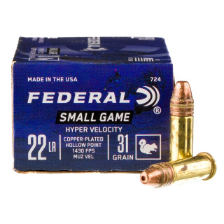 Federal Game-Shok .22 LR Ammunition 500 Rounds CPHP 31 Grains