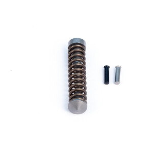 Ed Brown 1911 Mainspring Housing Internals Officer's Models