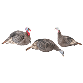 Hunter's Specialties Strut-Lite Flock Jake & Hen Turkey Decoy Set