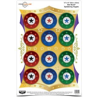 Birchwood Casey Splattering Pregame 12x18" Targets
